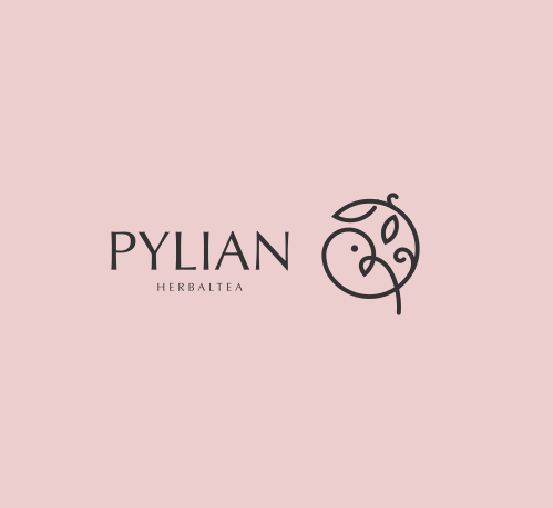 PYLIAN LOGO设计 | 成都商标设计公司